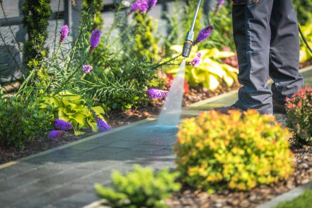 Reliable Winfield, AL Pressure Washing Services Solutions